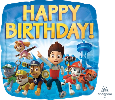 Paw Patrol Happy Birthday S60 Convergram